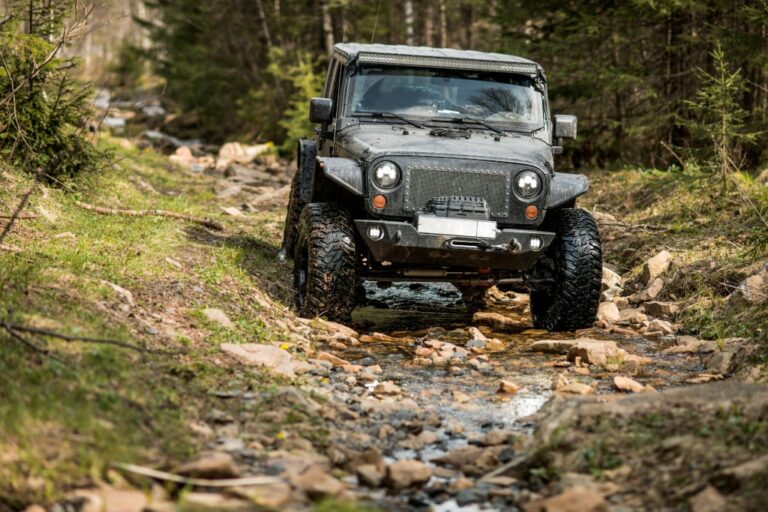 Samochód off-road – 4 przykładowe modele