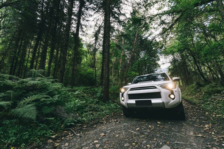 Jazda off-road w lesie – czy jest legalna? Przepisy i interpretacja.